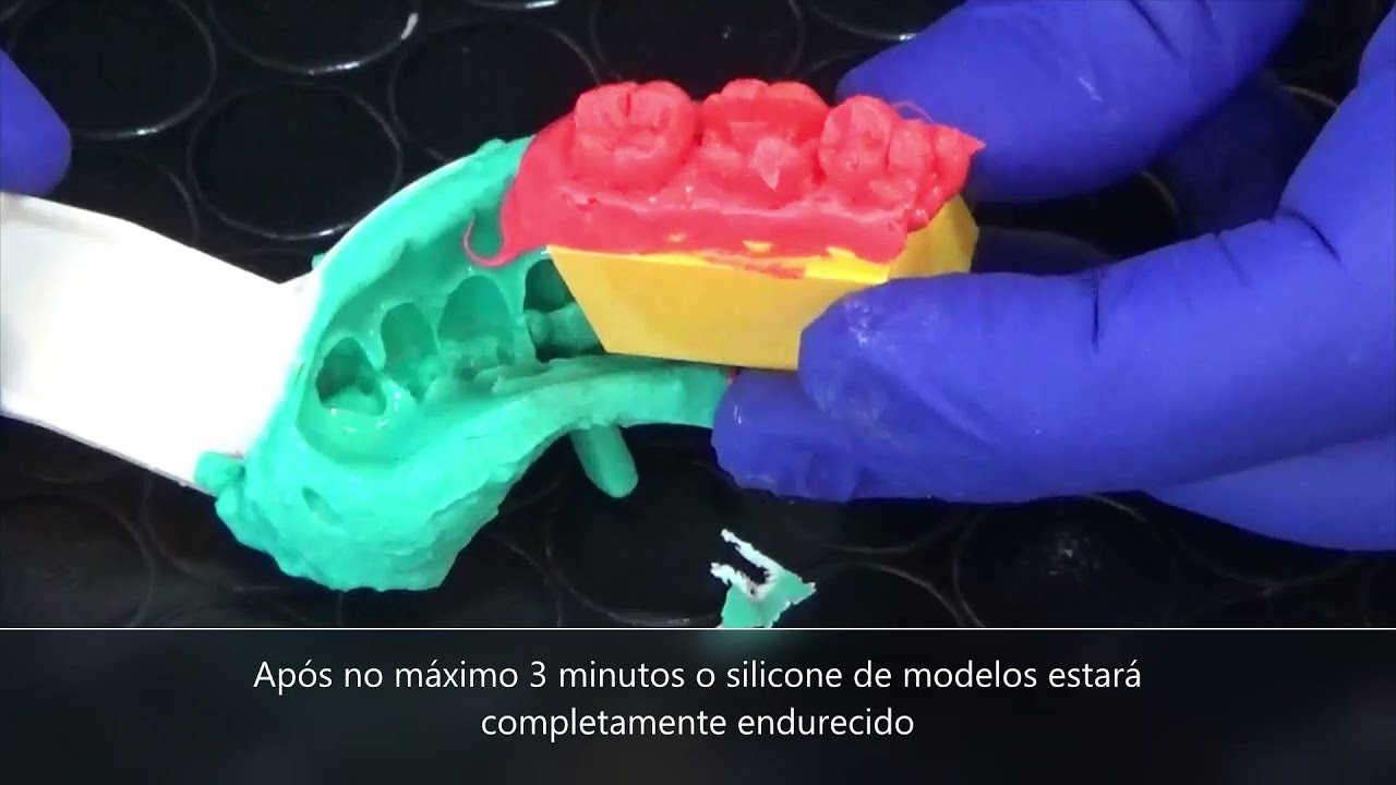 DIE SILICONE 2021   original