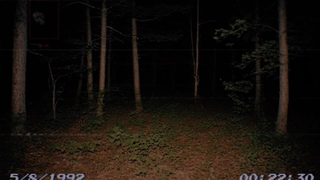 I still live in Mulberry County but...something is very not right (part 2)