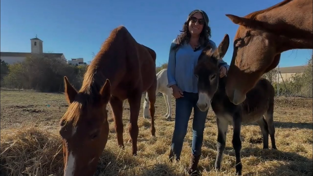 De Granada a Ventas de Huelma