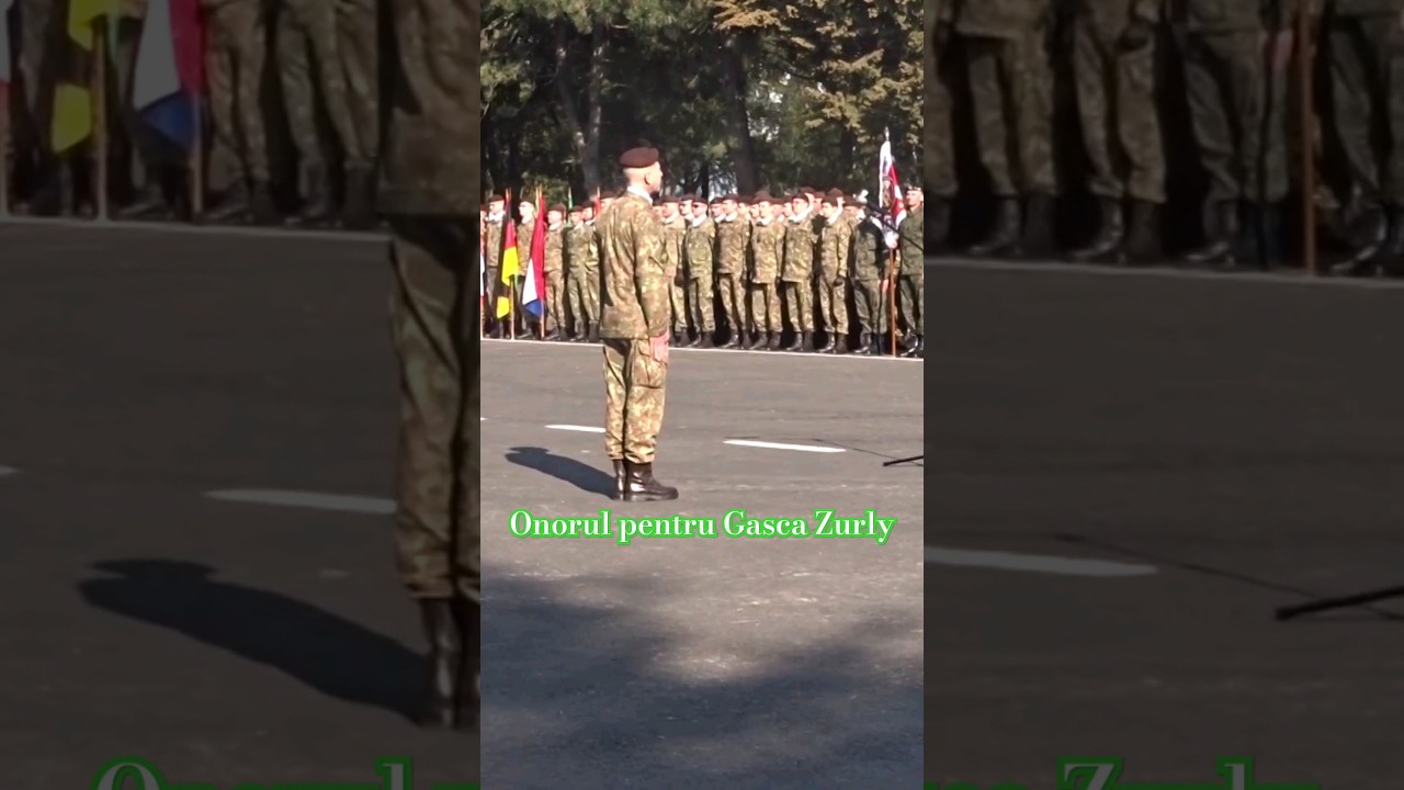 La pas pentru Onor Inainte cu Gasca Zurly 😂😂