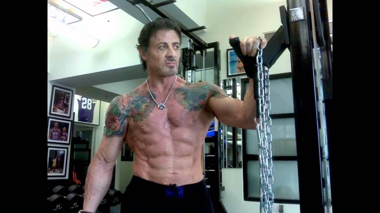 Stallone - ZR PRESO
