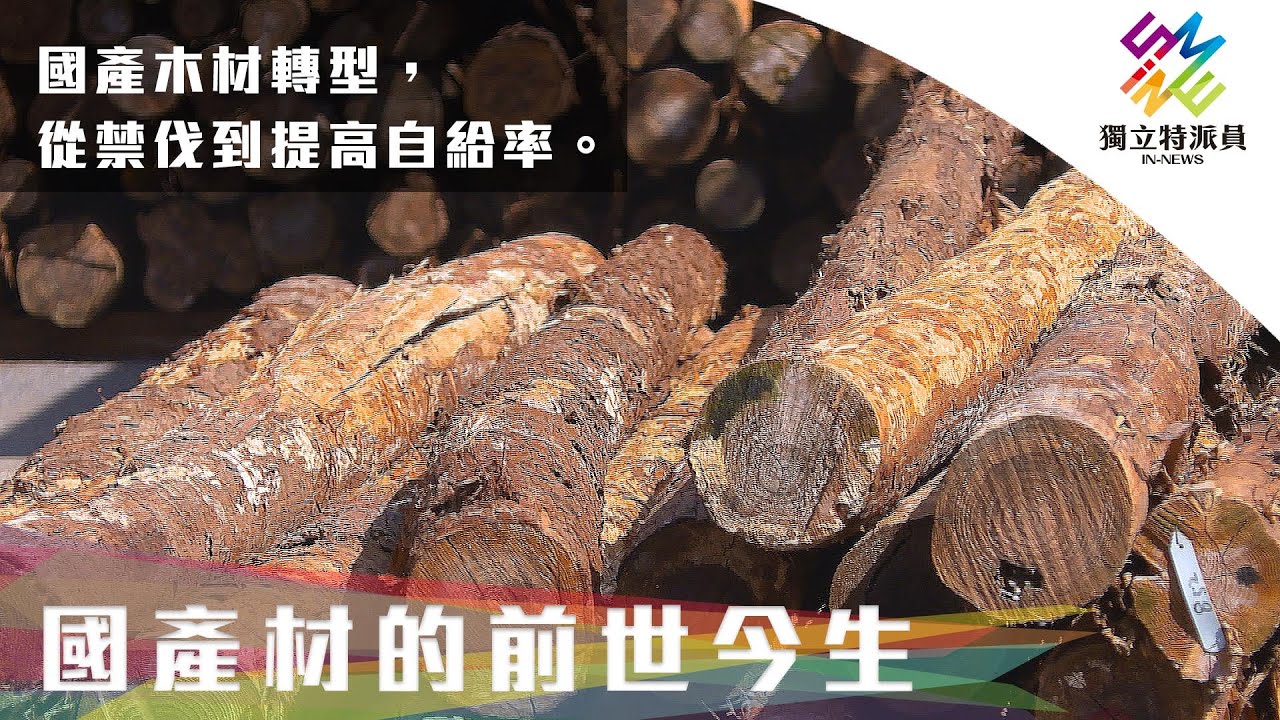 國產木材轉型，從禁伐到提高自給率。｜獨立特派員 第727集 (國產材的前世今生)