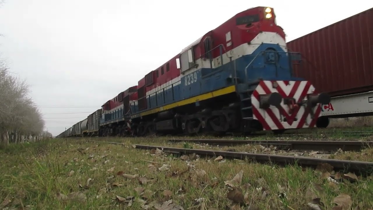 CRUCE de ALCO's CON TRENES DE N.C.A. EN PÉREZ