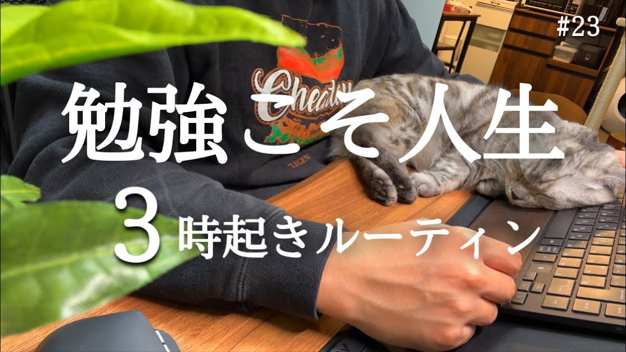 最後の追い込み。2022年やりきる【3時起き社会人の朝活ルーティン】