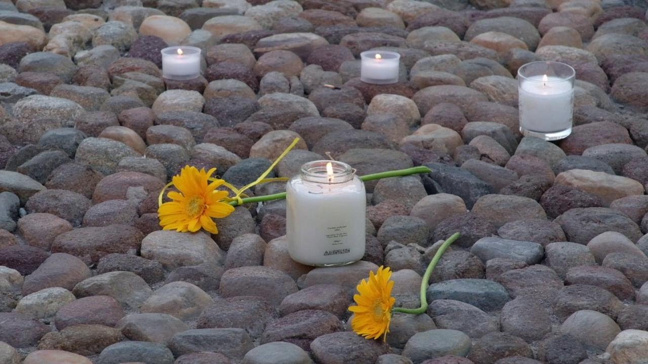 Duecento mantovani ricordano De Donno in piazza Sordello