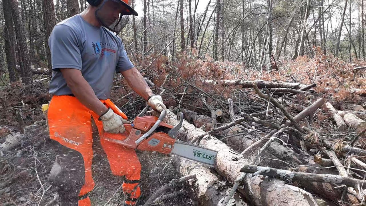 Land Clearing by Hand | Farmertec Jon Cutter G5800 Chainsaw | Bucking Trees