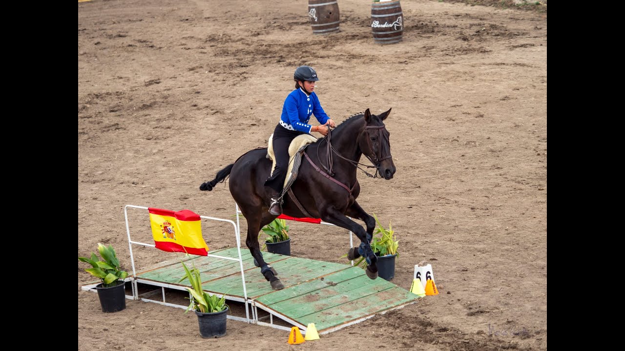Campeonato de España de Equitación de Trabajo 2023