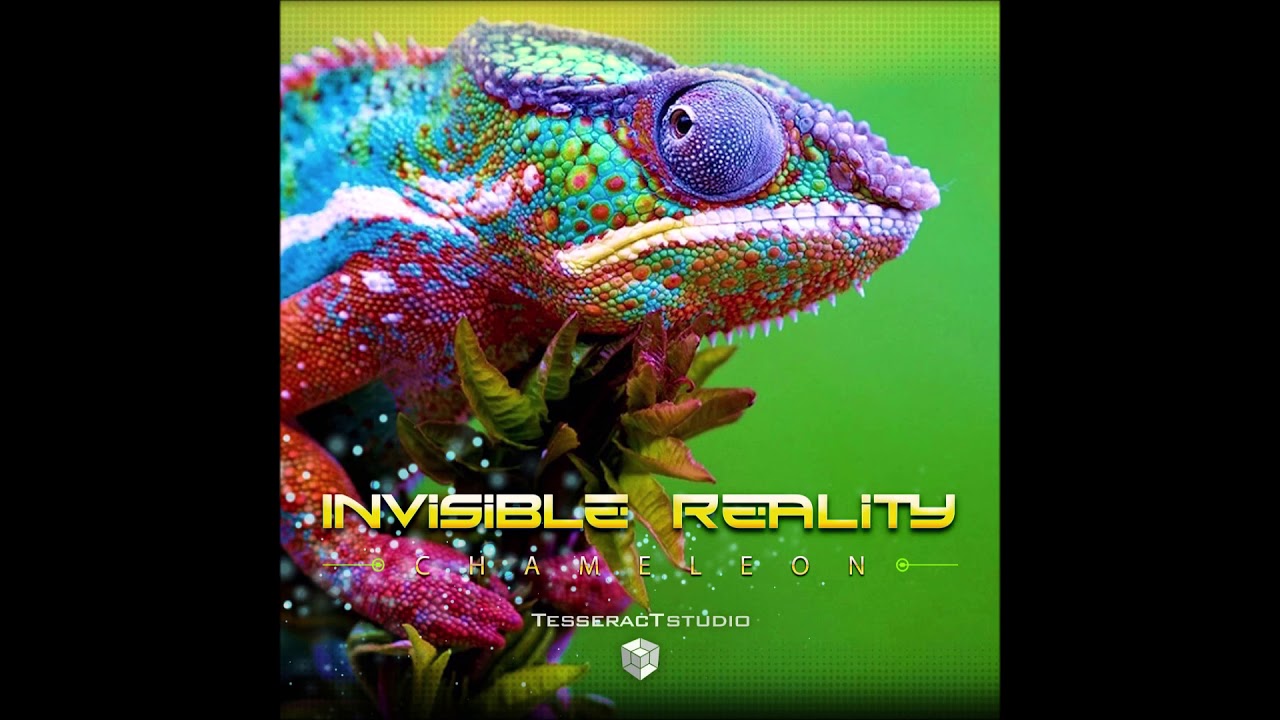 Invisible reality - Chameleon