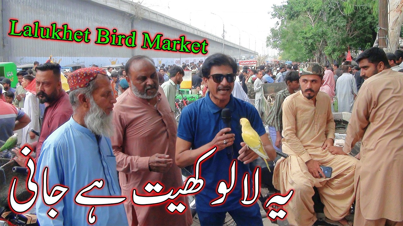 Lalukhet Exotic Parrots and Rare Birds Market Karachi 5-4-2026 Latest Update in Urdu | سوق الطيور