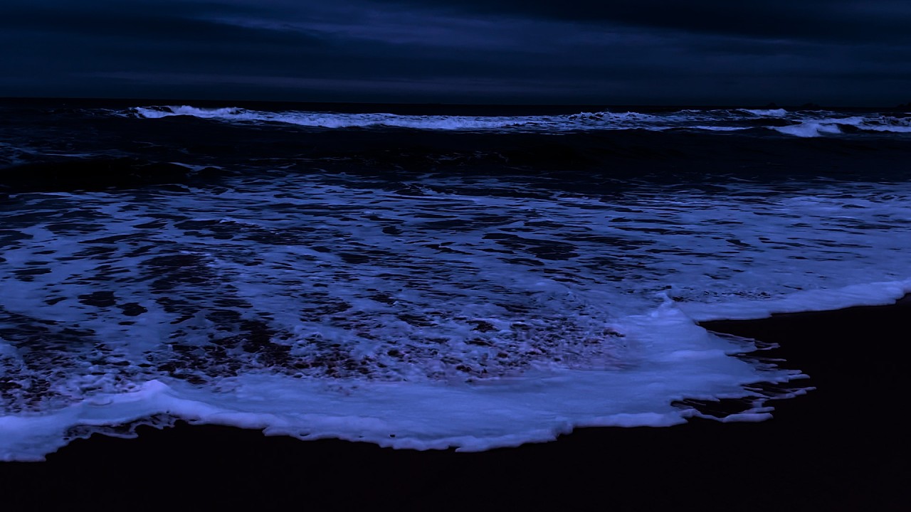 Gentle Ocean Waves 🌊 Soothing Sounds for Sleep & Anxiety Relief