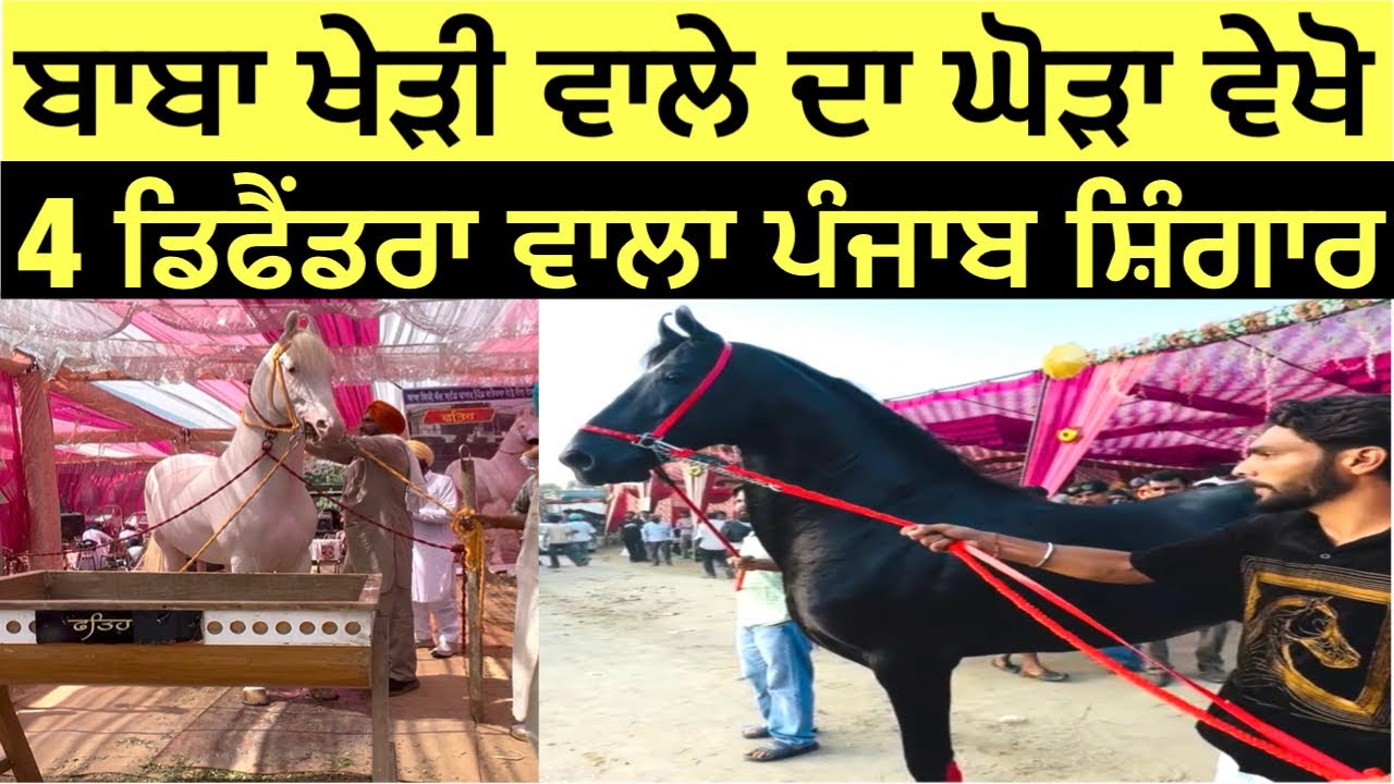 ਬਾਬਾ ਖੇੜੀ ਵਾਲੇ ਦਾ ਘੋੜਾ ਵੇਖੋ 4 ਡਿਫੈਂਡਰਾ ਵਾਲਾ ਪੰਜਾਬ ਸ਼ਿੰਗਾਰ ਵੇਖ ਰੂਹ ਖੁਸ਼ ਹੁੰਦੀ ਆ 