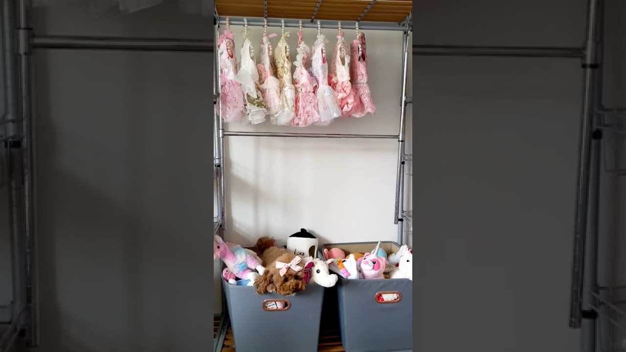 Dog Closet Update! For the Spring/Summer with all my pink puppy princess dresses #shorts #dog