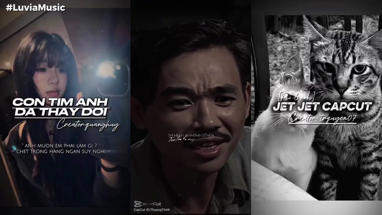 Tuyển Chọn Các Mẫu CapCut Nhạc Remix Đang Thịnh Hành Trên TikTok Hiện Nay ♪ P.02