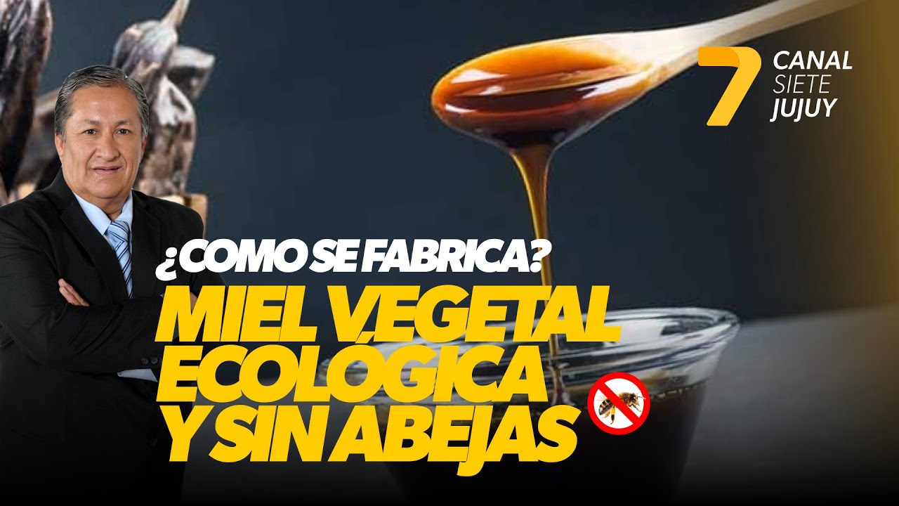 INFORME SOBRE LA MIEL DE CA&Ntilde;A - Carlos Lara - Radio Visi&oacute;n Noticias