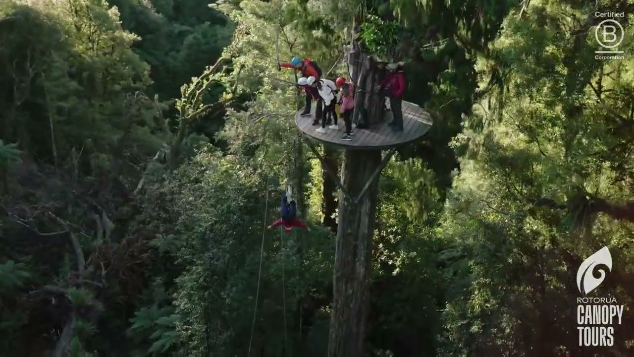 Experience The Ultimate Canopy Tour: Further, Faster, Longer! Rotorua Zipline Adventure