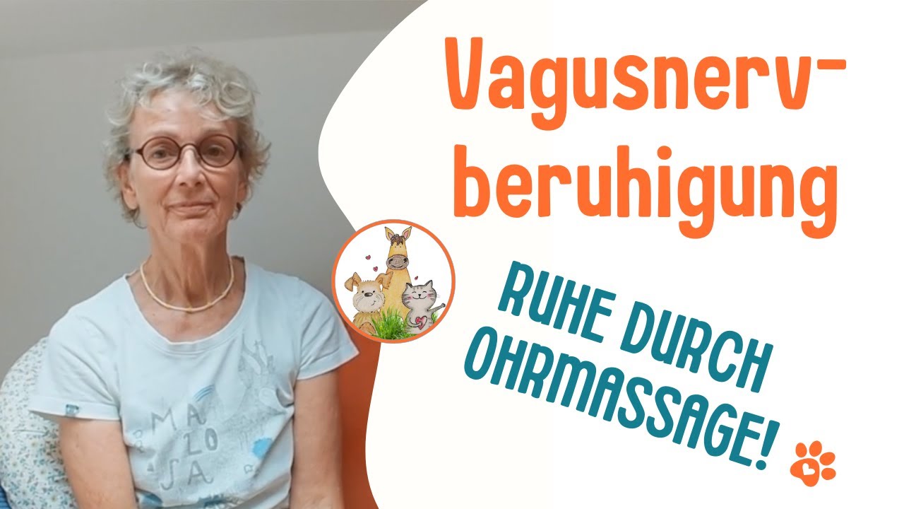 Ohrmassage zur Beruhigung – Vagusnerv aktivieren bei deinem Tier 🐾