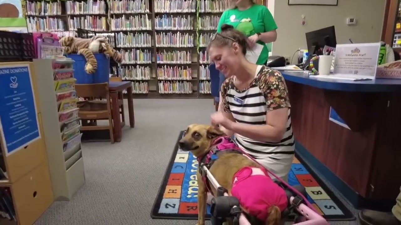 Wheelchair Dog Visits Library