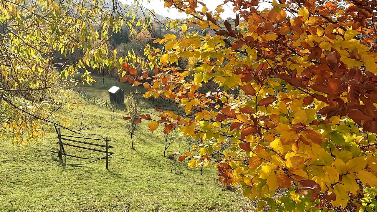 Maramures - Moisei - Places you need to visit in Romania (Part 02)