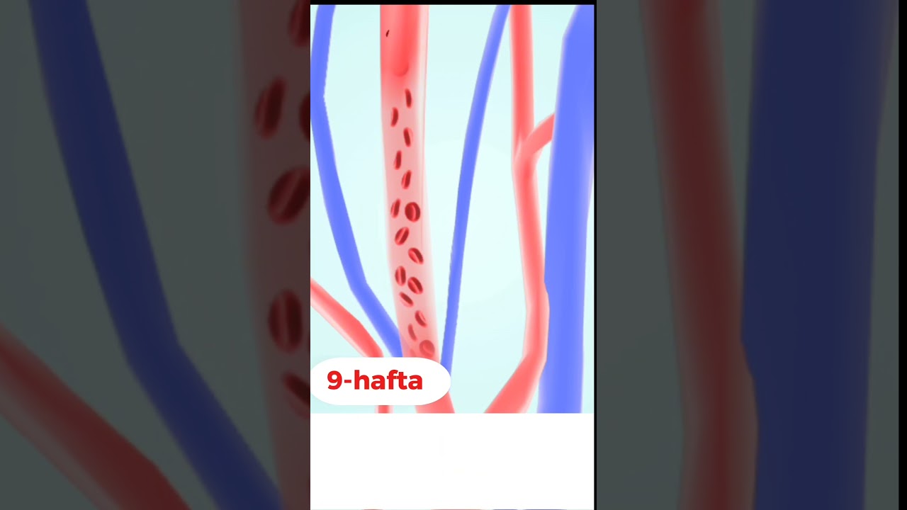 9 HAFTALIK HOMILA