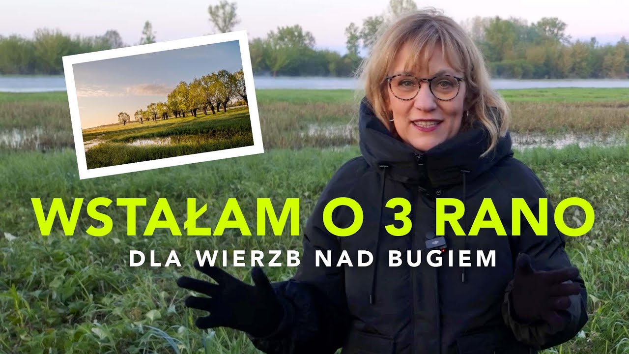3 rano. Bug i wierzby. No i wschodzące słońce...