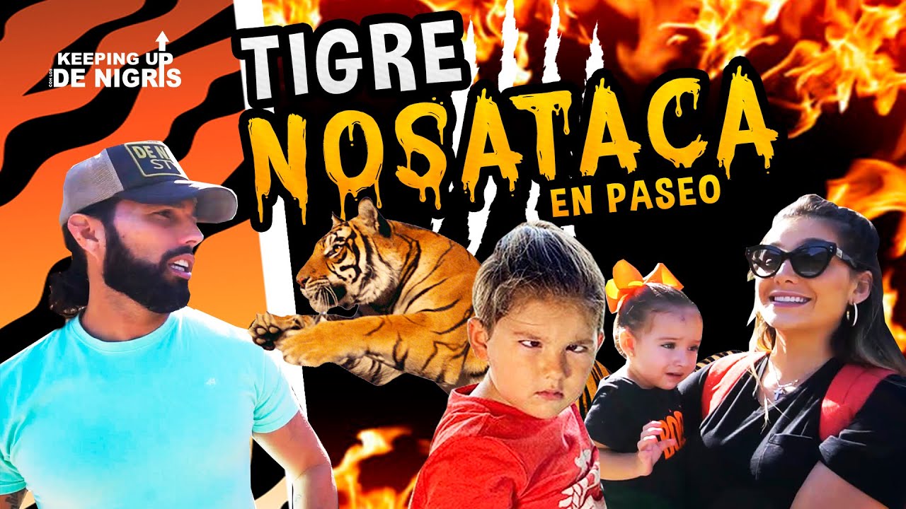 Tigre nos ataca - Keeping Up Con Los DeNigris