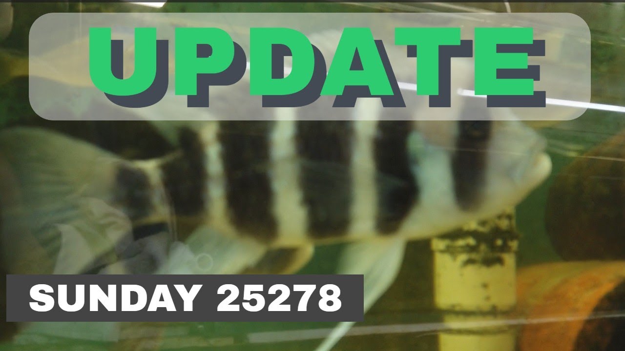 Week In Review 25278