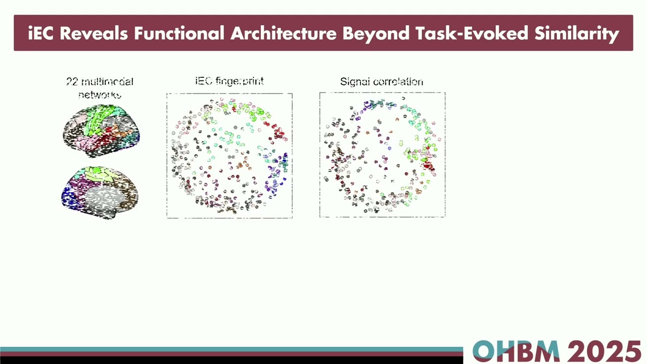 OHBM 2025 | Oral Session | Younghyun Oh | Intrinsic effective connectivity as the basis of functio…