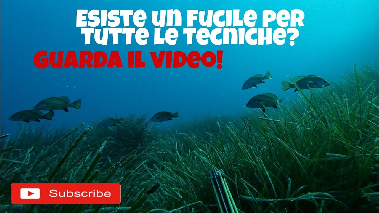 Pescasub: Un fucile per l aspetto, agguato e tana!