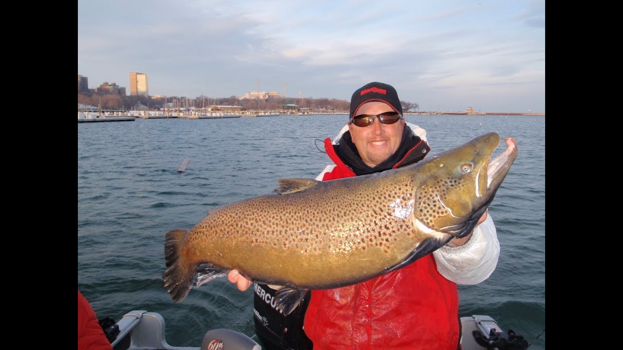 Salmon Fishing Milwaukee Harbor Big Fish