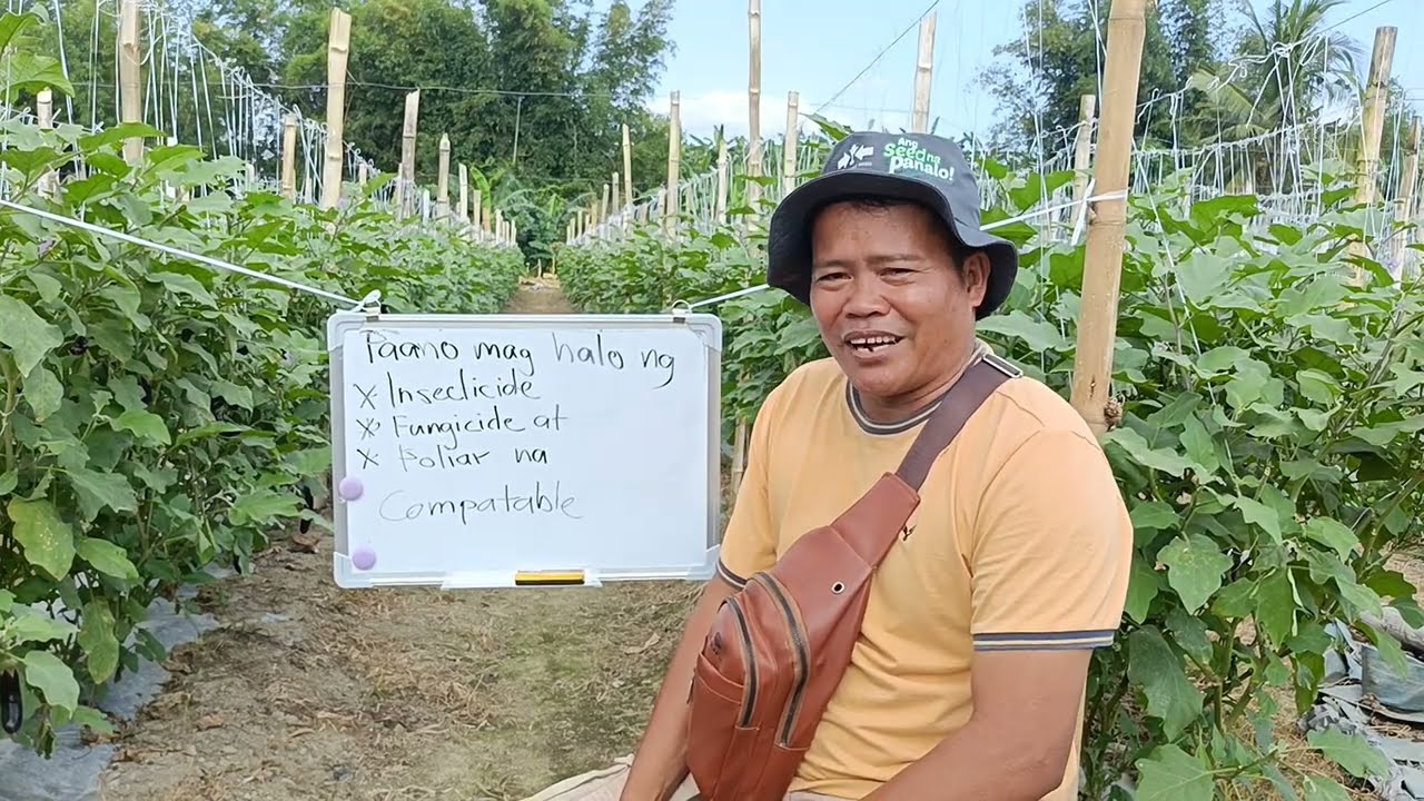Paano natin malalaman na ang insecticide, fungicide at foliar ay compatible 👍