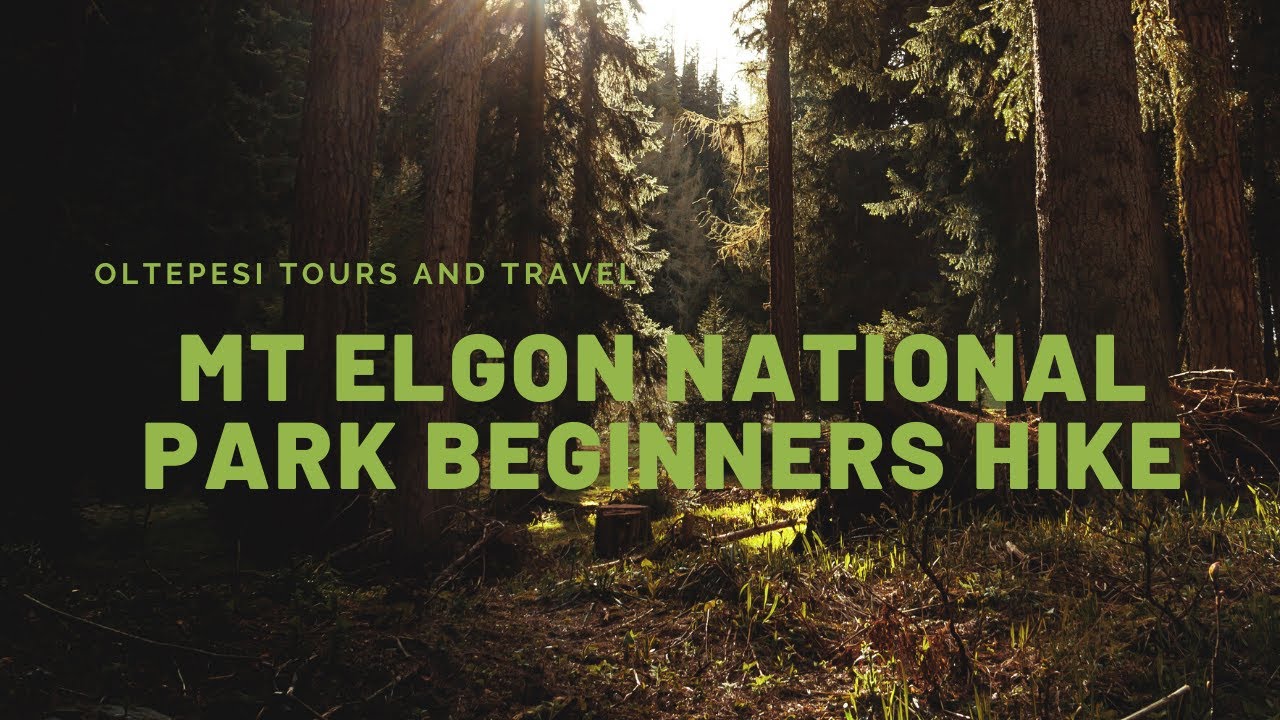 MT ELGON NATIONAL PARK BEGINNERS HIKING VLOG ft Oltepesi Tours//McClain Stacy