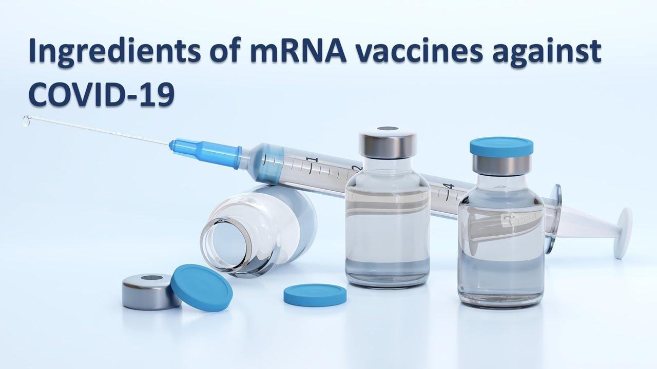 Ingredients of Pfizer's and Moderna's COVID-19 vaccines - Components of vaccine