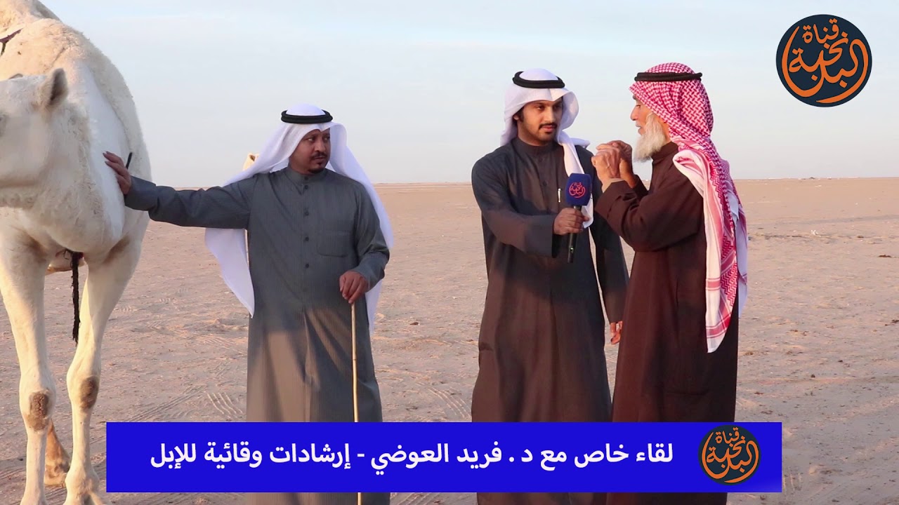 د . فريد العوضي يشرح بعض الأمراض التي يتعرض لها الإبل وكيفية التعامل معها .