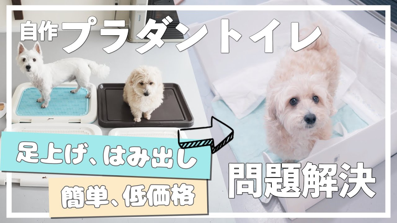 自作プラダントイレで、はみ出し足上げ【おしっこ問題解決！？】