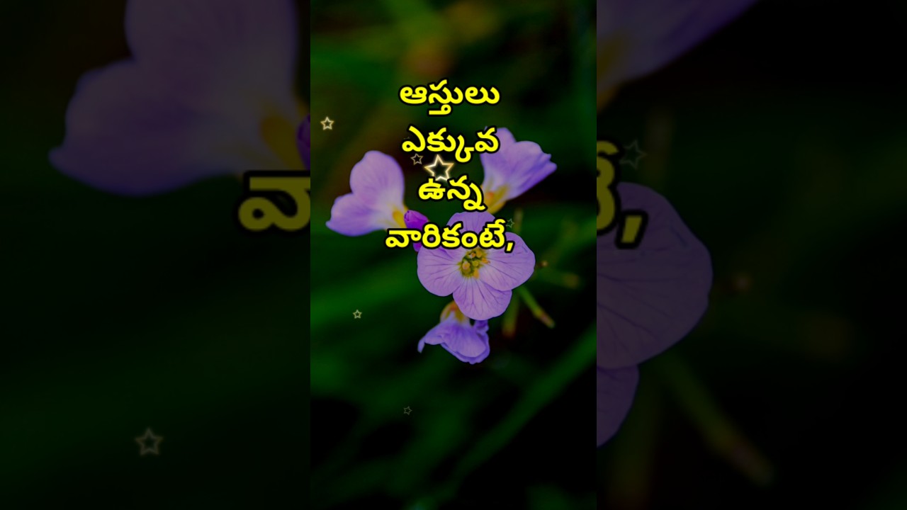 Neethi vakyalu #2786 | telugu sukthulu | top matalu | quotations | manchi matalu | jeevitha satyalu