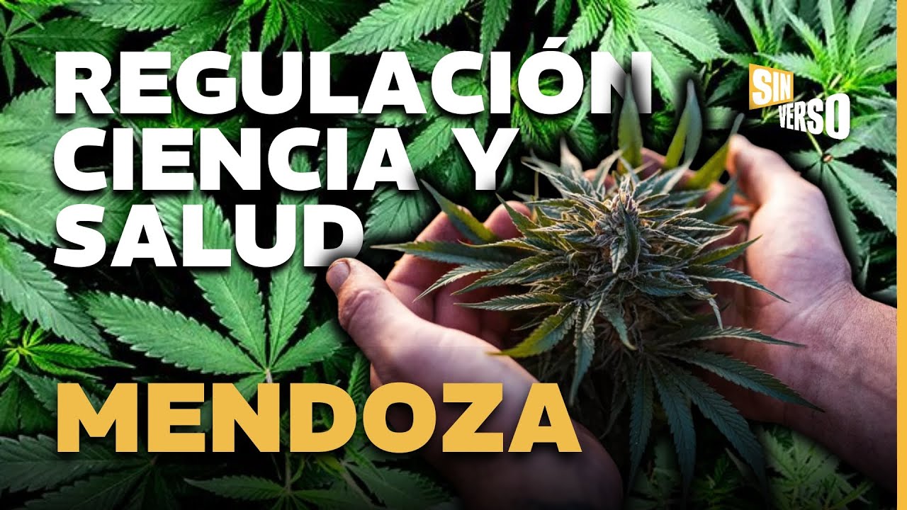 Avanza el CANNABIS MEDICINAL en Mendoza: Nuevo Marco Legal, Industria, Laboratorio y Producción 2026