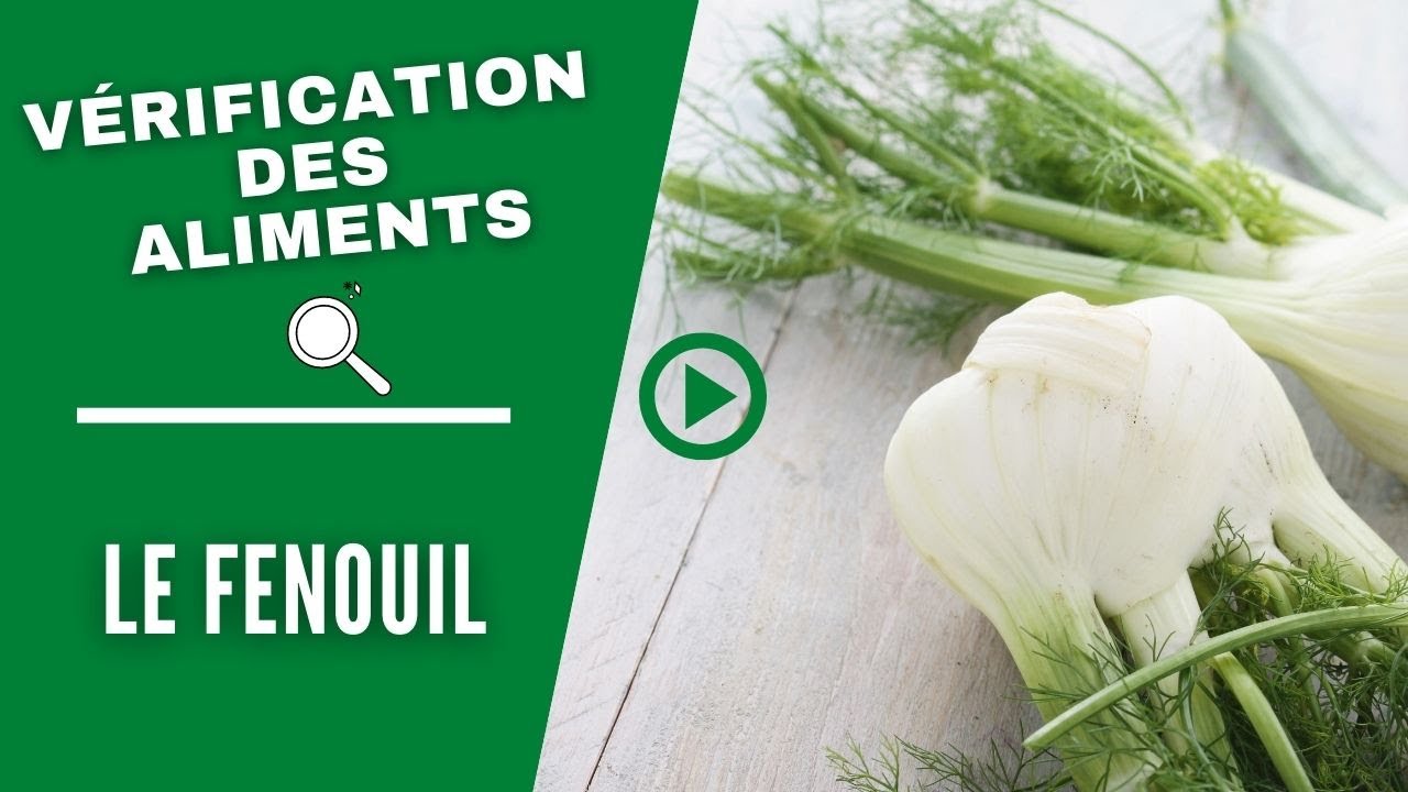 La vérification des aliments : LE FENOUIL (Bdikat Tola'im)