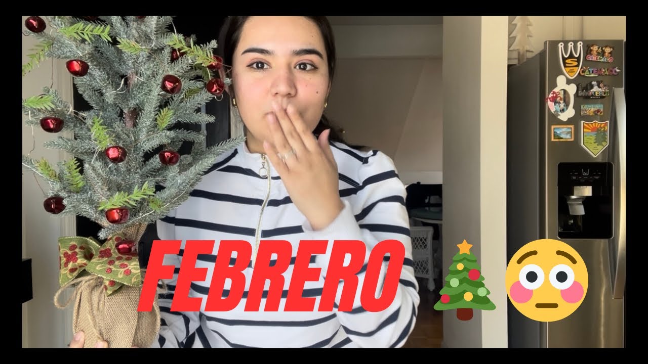 Febrero, nieve afuera y yo quitando la Navidad ❄️🎄
