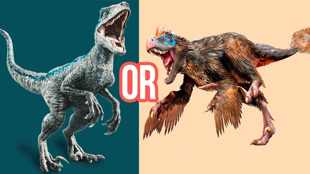 VELOCIRAPTOR: 10 Facts You Should Know About This Dinosaur