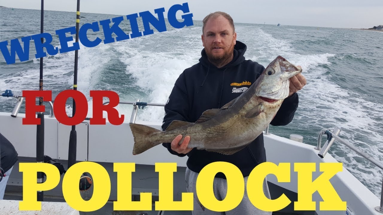 Wrecking for pollock sidewinder and redgill lures sea fishing on a boat