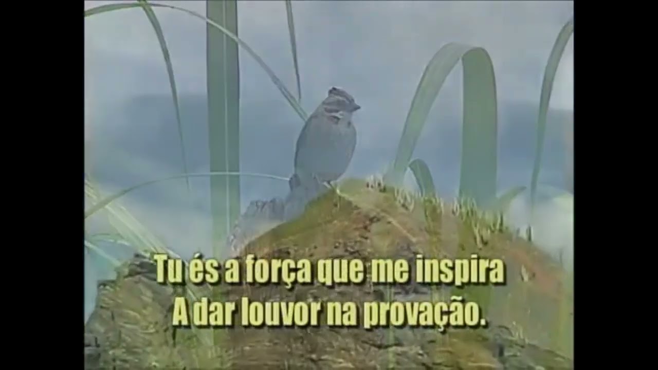 Jesus tu és a minha vida (Sonete) - Playback com letra