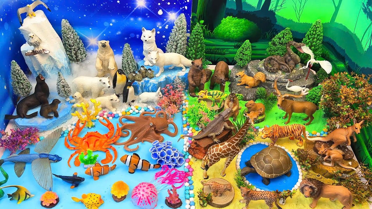 Исследуйте животных леса, океана и Арктики 🦁🐧🐠 | Диорама животных своими руками