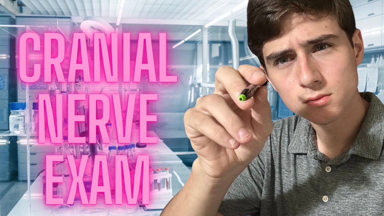 ASMR Cranial Nerve Exam (Soft Spoken)