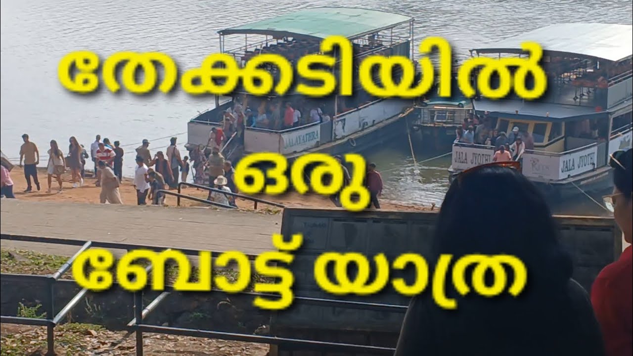 തേക്കടിയിൽ ഒരു ബോട്ട് യാത്ര #travel #boat 