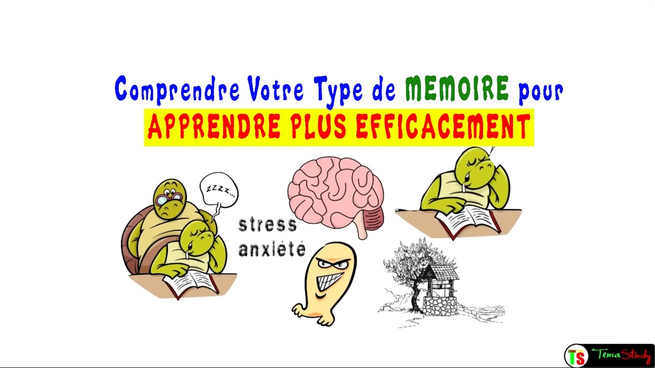 Comment Déterminer Quel Type de Mémoire vous Avez pour Apprendre 10 Fois Plus Vite | TemaStudy