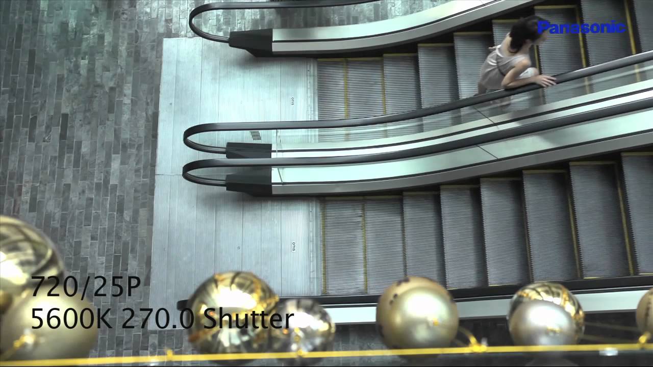 The 