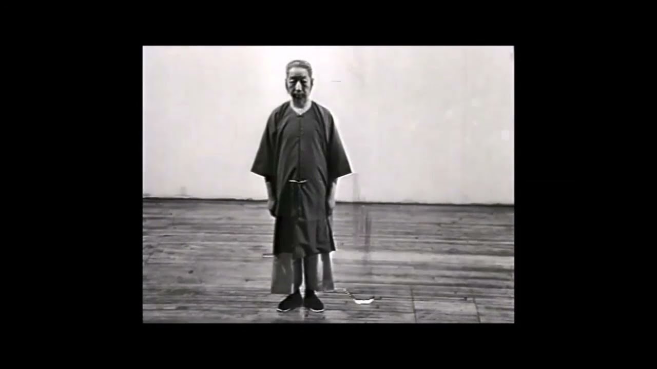 鄭曼青 太極拳 推手