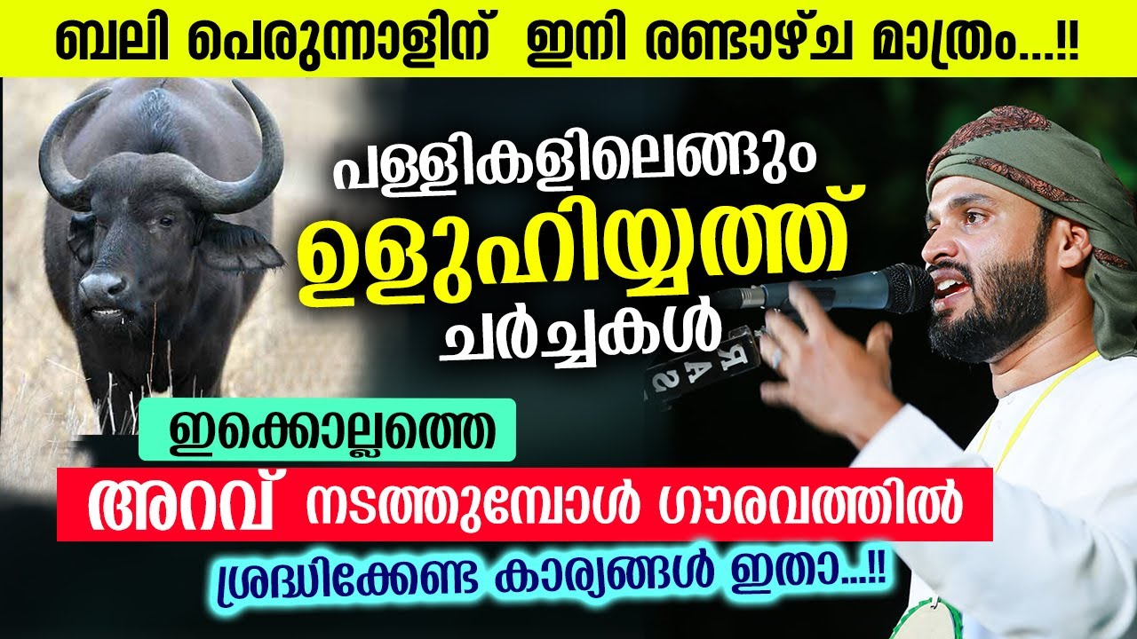 ബലി പെരുന്നാൾ എത്തുന്നു.. ഇക്കൊല്ലത്തെ ഉളുഹിയ്യത്ത്  നടത്തുമ്പോൾ ശ്രദ്ധിക്കേണ്ടത് Bali Perunnal 2022