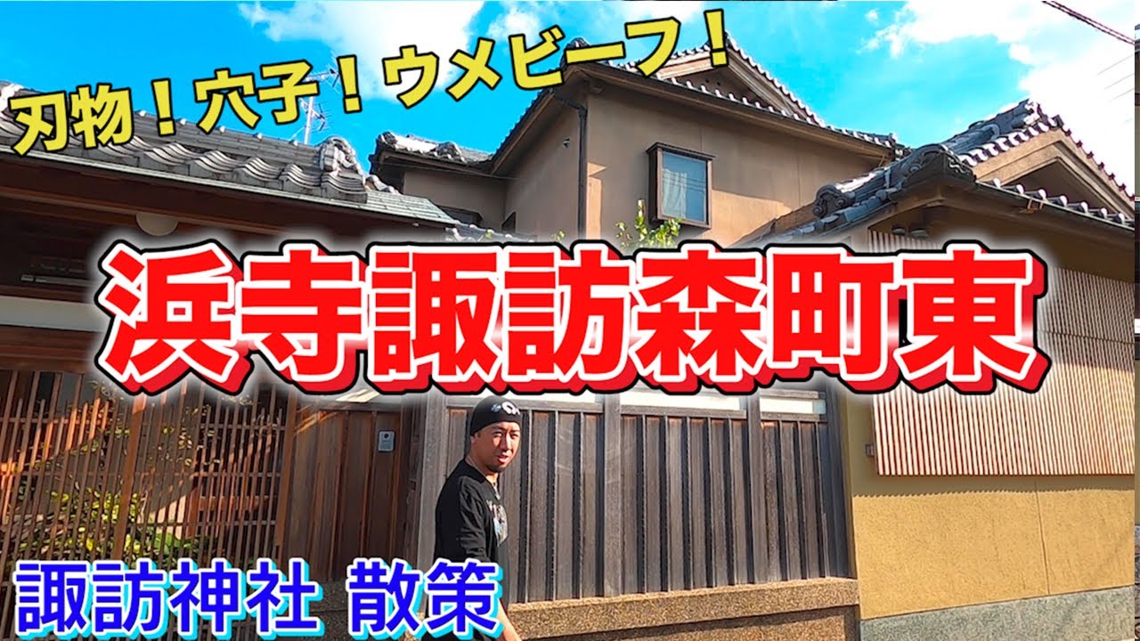 日本の高級住宅街　大阪府　堺市　西区　浜寺諏訪森町東を散歩