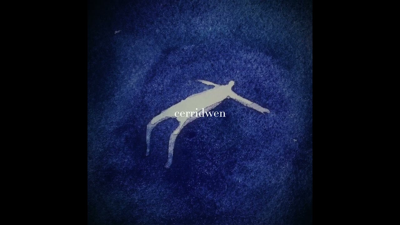End of Beginning - Djo (slowed + echo)